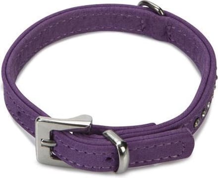 Beeztees leren halsband Buffalo Strass. Paars. 27 cm x 10 mm.