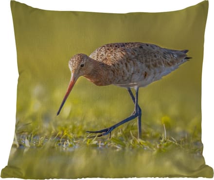 Tuinkussen - Vogels - Gras - Landschap - Grutto - 40x40 cm - Weerbestendig