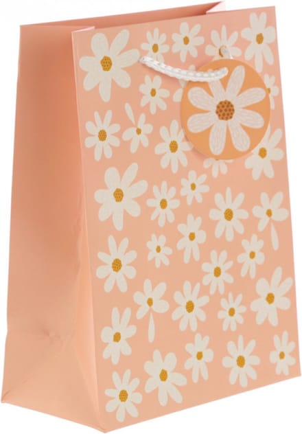 Voordeel set van 6 leuke geschenktassen/cadeauzakken