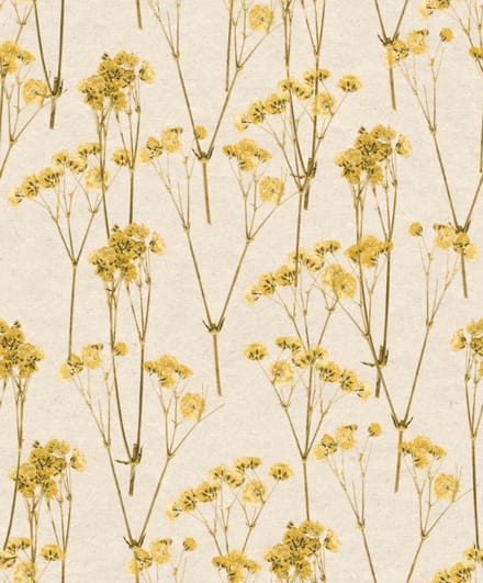 Decoprint Herbarium Behang met katoentakken - HE27242   5415058080570   Behang