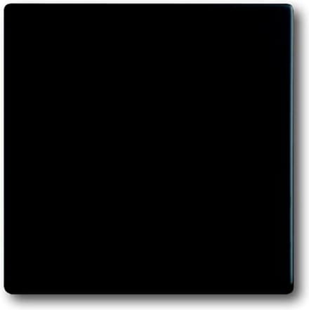 ABB Busch-Jaeger toekomstig Bedieningselement/Centrale Plaat Schakelmateriaal - 2CKA001751A3041 - E2QA4