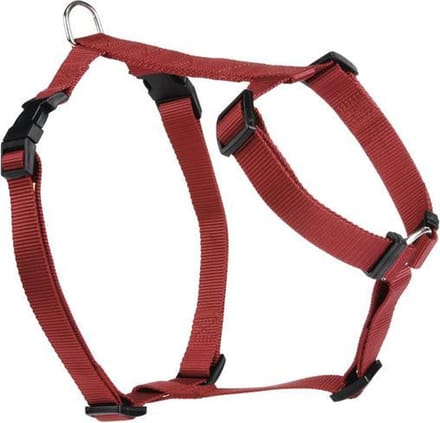 Beeztees Wandel- en Autogordel - Hond - Nylon - Rood - 40-65 cm