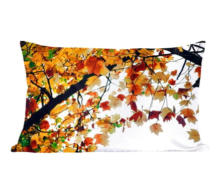 Sierkussens - Kussentjes Woonkamer - 60x40 cm - Bomen - Herfstbladeren - Natuur