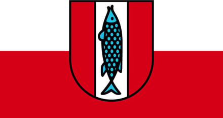 Vlag Kaiserslautern 100x150cm