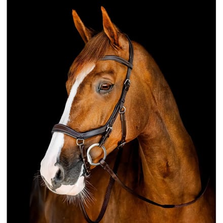 Hoofdstel Horseware Micklem
