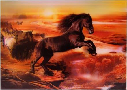 S.Y.W Poster - Paard - 34.5 X 24.5 Cm - Zwart