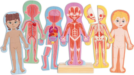 Hape Magnetisch Puzzel Menselijk Lichaam – 69-delig educatief puzzelset voor kinderen van 3-6 jaar