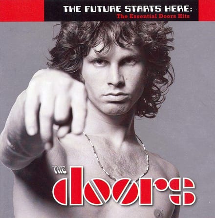 Doors - Future Starts Here: The Essent