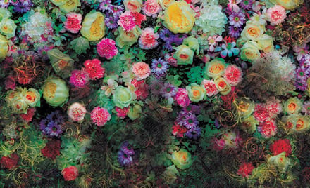 Poster | Groen | 104 x 70,5 cm
