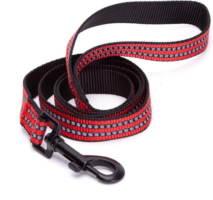 Nobleza Hondenriem - Reflecterende Hondenlijn - Nylon - 120 cm - Rood