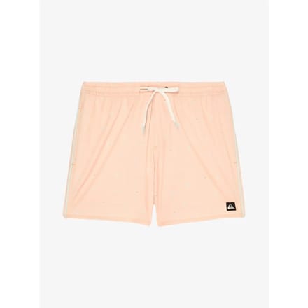 Surf shorts Quiksilver Stretch Printed