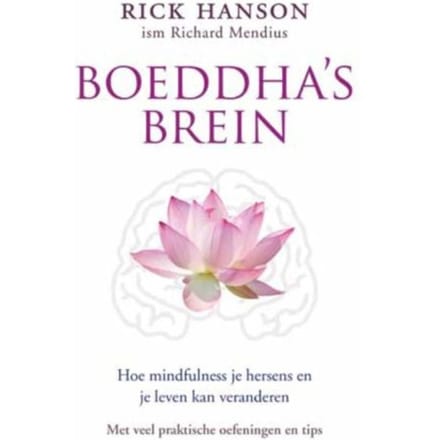 Boeddha`s Brein - Rick Hanson