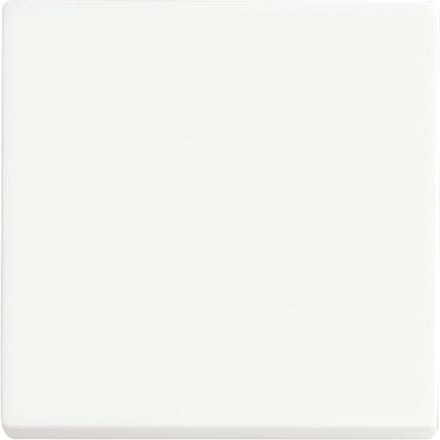 ABB Toekomstige Lineaire Slimme Schakelaar Bedieningspaneel Matt Wit - 2CKA006730A0149