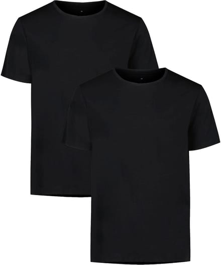 Under Armour T-shirt PERF COTTON CREW NECK 2PK Set van 2