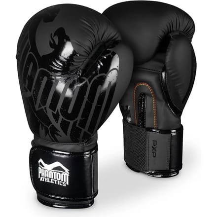Bokshandschoenen Phantom Athletics German Eagle