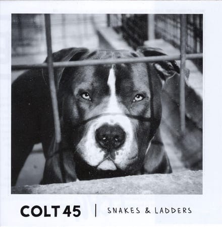 Snakes & Ladders - Cd