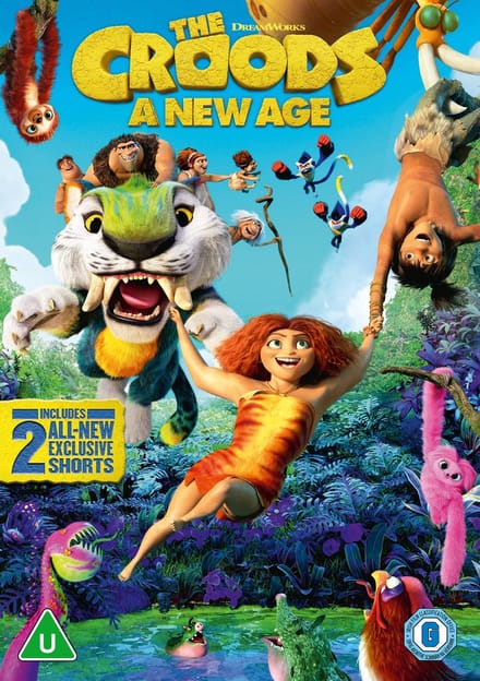 Croods: A New Age (DVD)
