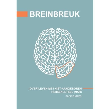 Breinbreuk - Nickie Maes
