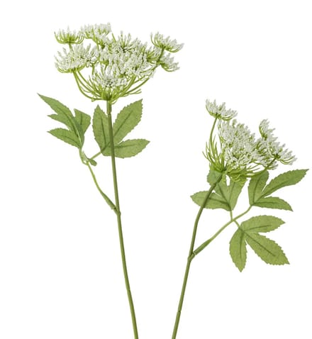 Bloomingville Kunstbloem venkel wit Fennel 66 cm