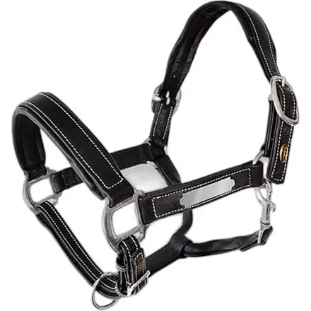 Leren halster voor paarden Lexhis