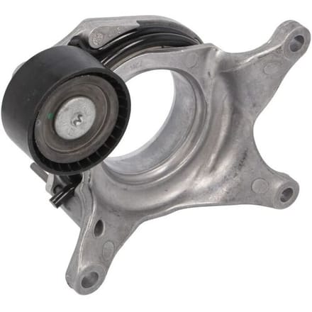 Schaeffler Ina Riemspanner, Poly V-riem INA 534 0794 10