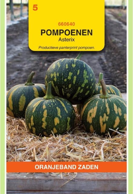 Oranjeband Zaden - Pompoen Asterix (Panterprint)