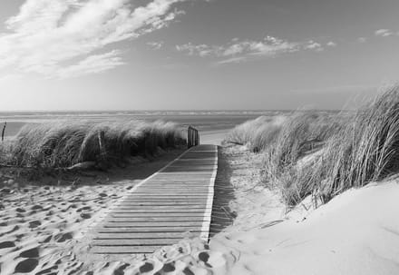 Fotobehang Beach Scene | XXL - 312cm x 219cm | 130g/m2 Vlies