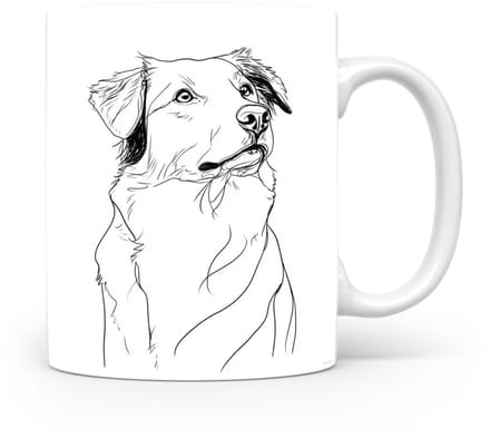 Beker Nova Scotia Duck Tolling Retriever