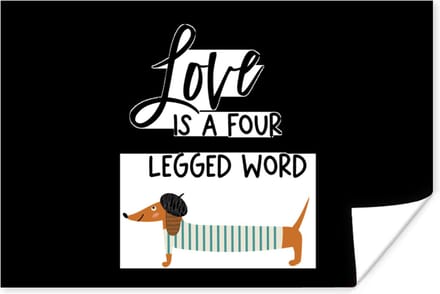 Poster Quotes - Honden - Spreuken - Love is a four legged word - 60x40 cm
