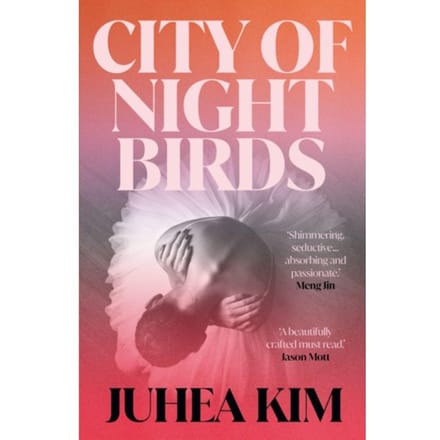 City Of Night Birds - Juhea Kim