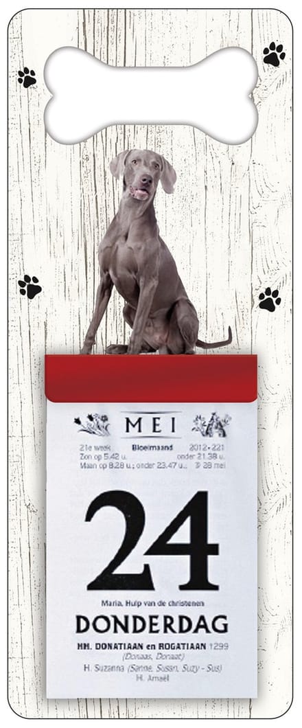 Scheurkalender 2027 Hond: Weimaraner
