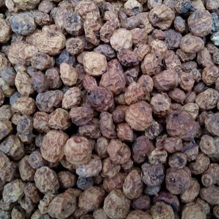 Tijgernoten - 8/20mm - 10KG | Karper aas