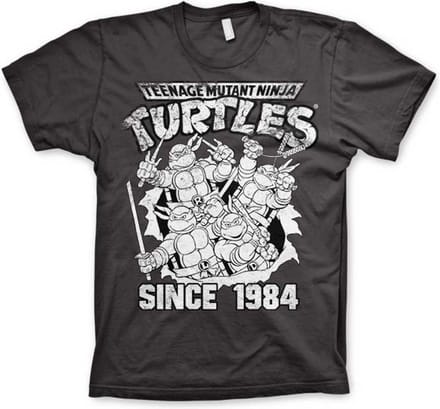 Teenage Mutant Ninja Turtles Heren Tshirt -M- Distressed Since 1984 Grijs