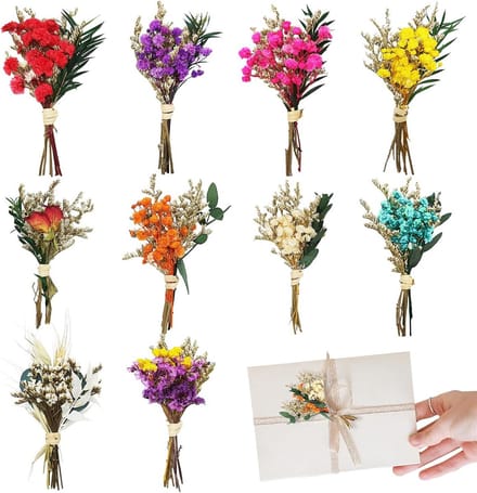 Solidchoice - Set van 10 Mini Gedroogde Bloemen voor Decoratie