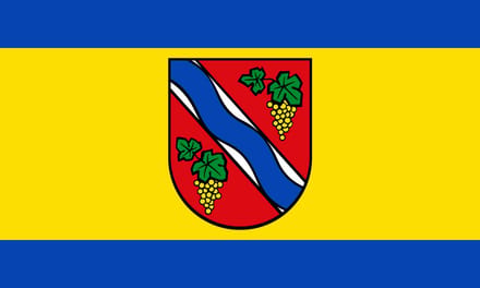 Vlag Dietzenbach 100x150cm