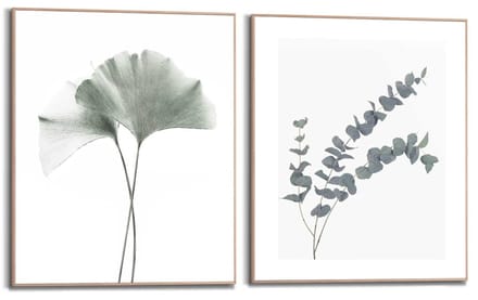 Schilderijen set Ginkgo Eucalyptus - 50 x 40 - Hout - REINDERS