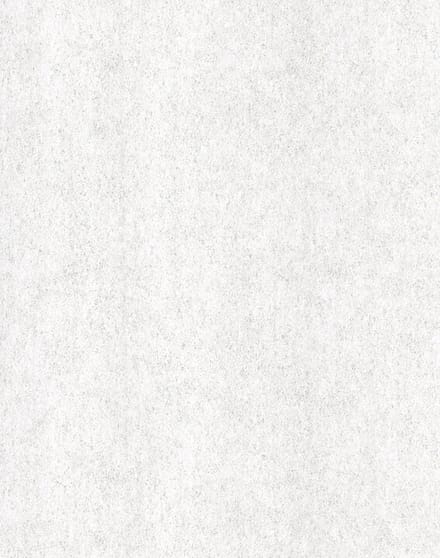 Arte Monochrome 54168