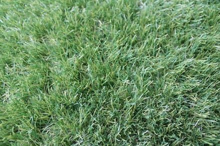 Niba® Kunstgras - 1x3m² - 40mm - Grastapijt - Groen - UV bestendig