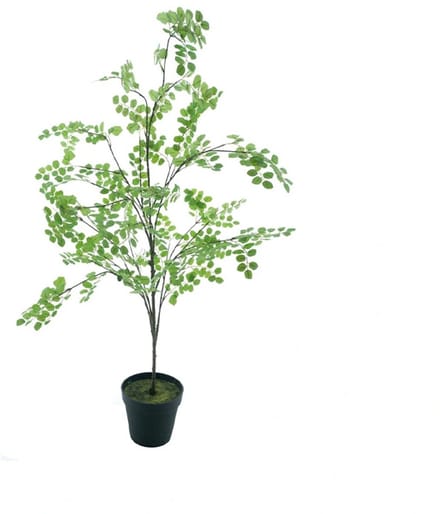 Kunstplant Button Leaf Tree in Pot - 175 cm