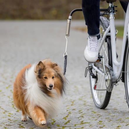Trixie bikerset fietsbeugel - Fietsen met Hond - 1 stk