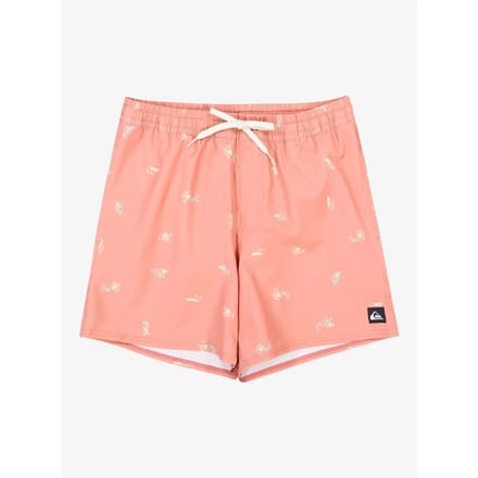 Quiksilver Stretch Printed Volley 16´´ Zwembroek Roze S Man