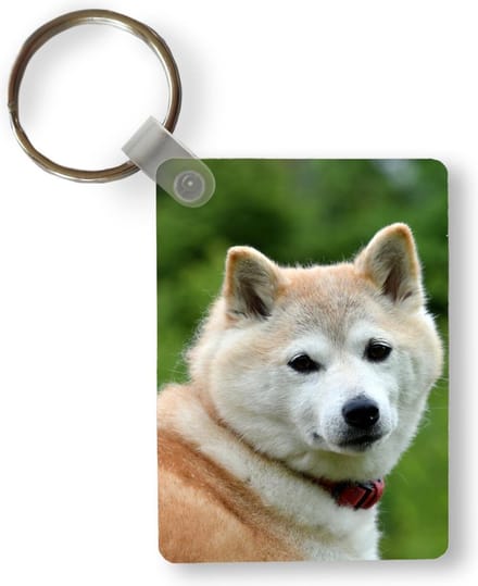 Sleutelhanger - Akita fotoprint - Uitdeelcadeautjes - Plastic