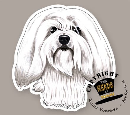 Magneet Hond Coton de Tulear