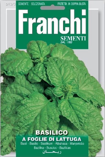 Franchi Basilico Foglie Di Lattuga - Basilicum slabladig