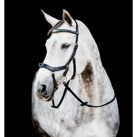 Anatomisch hoofdstel Horseware Micklem 2 Multi