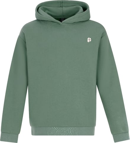 Protest PRTRoman - Hoodie Heren - Relaxed fit - Capuchon