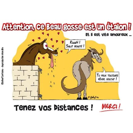 Humoristische hartvormige plaquette Fr8Man