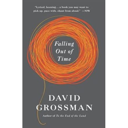 Falling Out Of Time - David Grossman