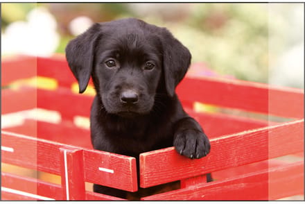 Kangaro bureau onderlegger - 38x58cm - Labrador zwart - antislip - met insteekvakken