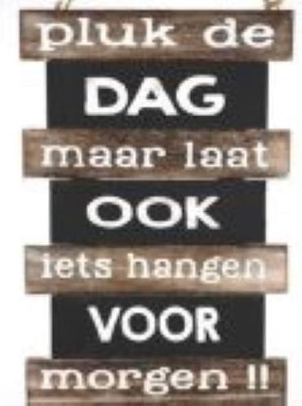 Tekstbord hout